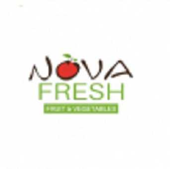 Nova Fresh Profile Picture