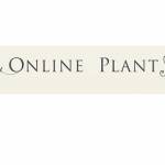 Online Plants profile picture