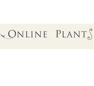 Online Plants Profile Picture