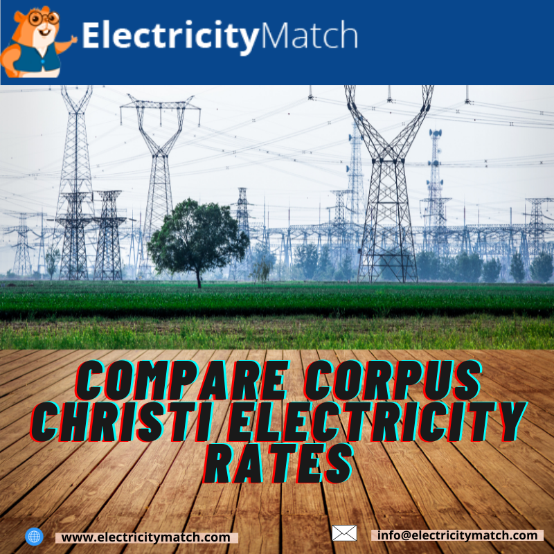 Things to Look When Choosing an Electricity Supplier for Direct Energy Corpus Christi: electricitymatc — LiveJournal