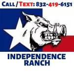 Independence Ranch Profile Picture
