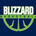 Wisconsin Blizzard LLC profile picture