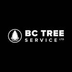 BCTree Service Profile Picture