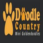 doodlecountry minis profile picture