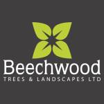 Beechwood Trees profile picture