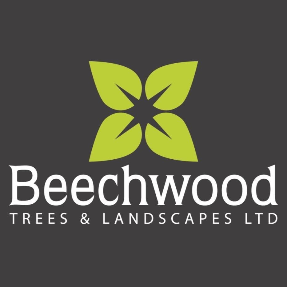 Beechwood Trees Profile Picture