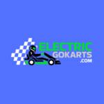 electricgo karts Profile Picture