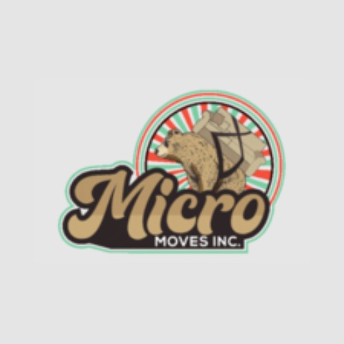 micro moves Profile Picture