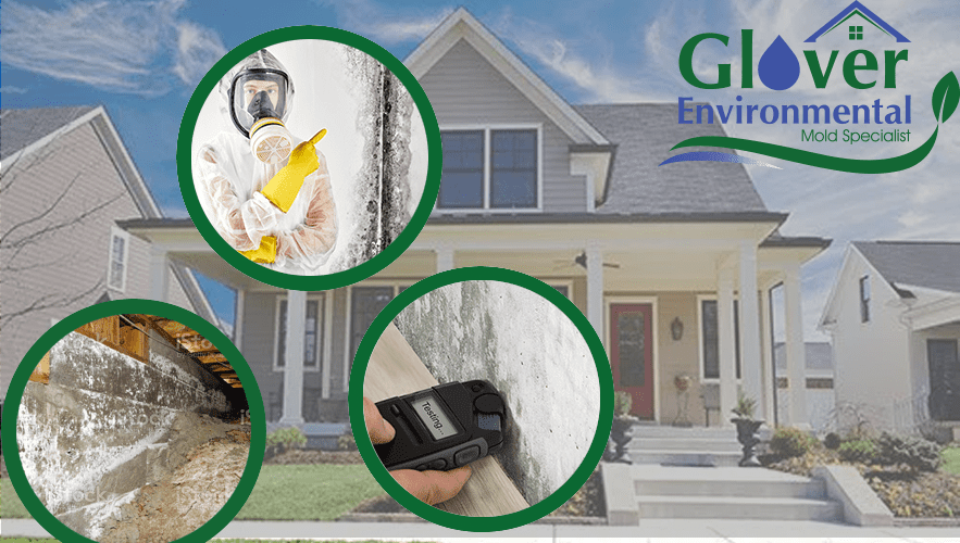 Mold Removal & Mold Remediation Raleigh NC | Glover Environmental