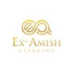 Examish Cleaning Services Profile Picture