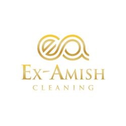 Examish Cleaning Services Profile Picture