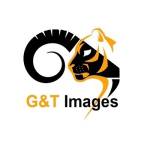 GandT Images Profile Picture