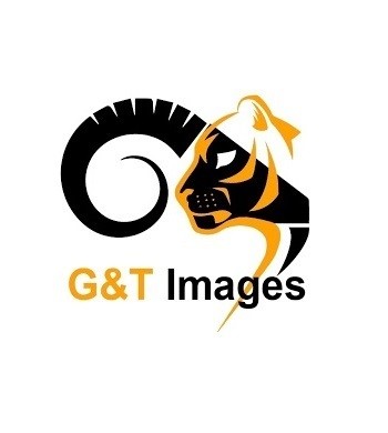 GandT Images Profile Picture