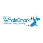 Baja Whale Shark profile picture