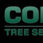 Cody Tree Service profile picture