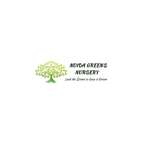 Noida Greens Nursery Profile Picture