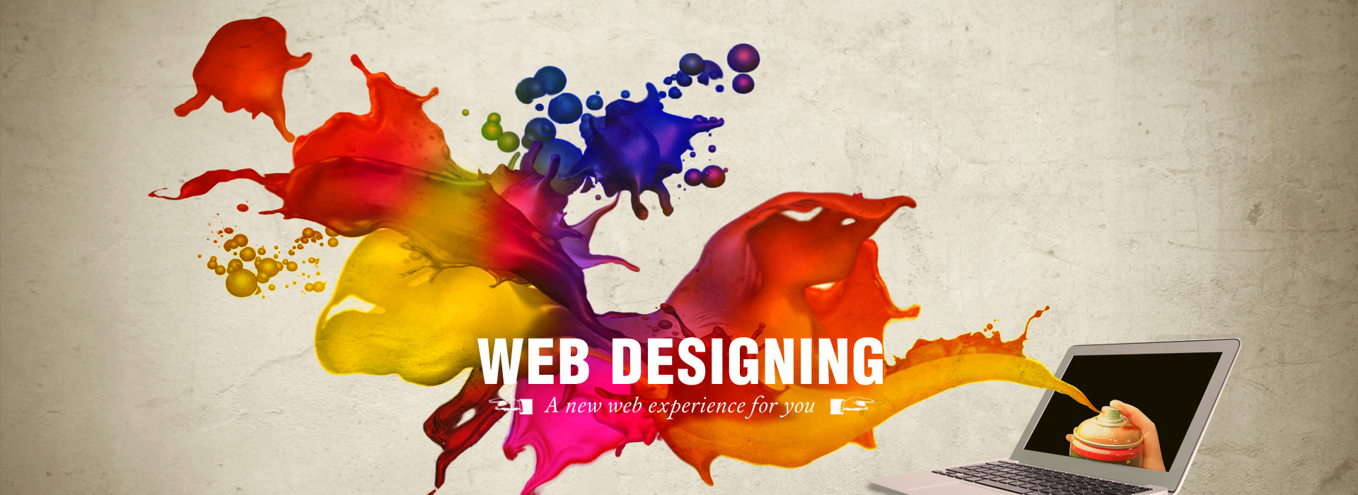 Website Designing Company in Delhi | IIS INDIA