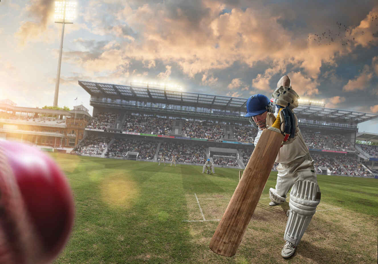 Key Features to Look for in a Top Cricket Betting App - WriteUpCafe.com