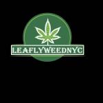 Leafly weednyc Profile Picture