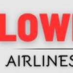 Lowestairlines deal profile picture