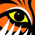 TigerTurf profile picture