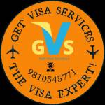 Get Visa Services profile picture