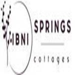 IBNI Springs profile picture