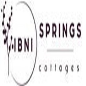 IBNI Springs Profile Picture