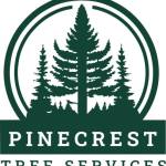 Pinecrest Tree Services Profile Picture