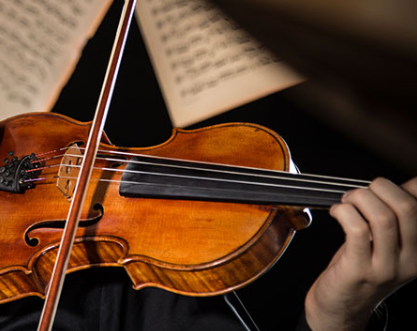 Advantages of Certified Suzuki Violin Teachers Over General Violin Instructors - ViralSocialTrends