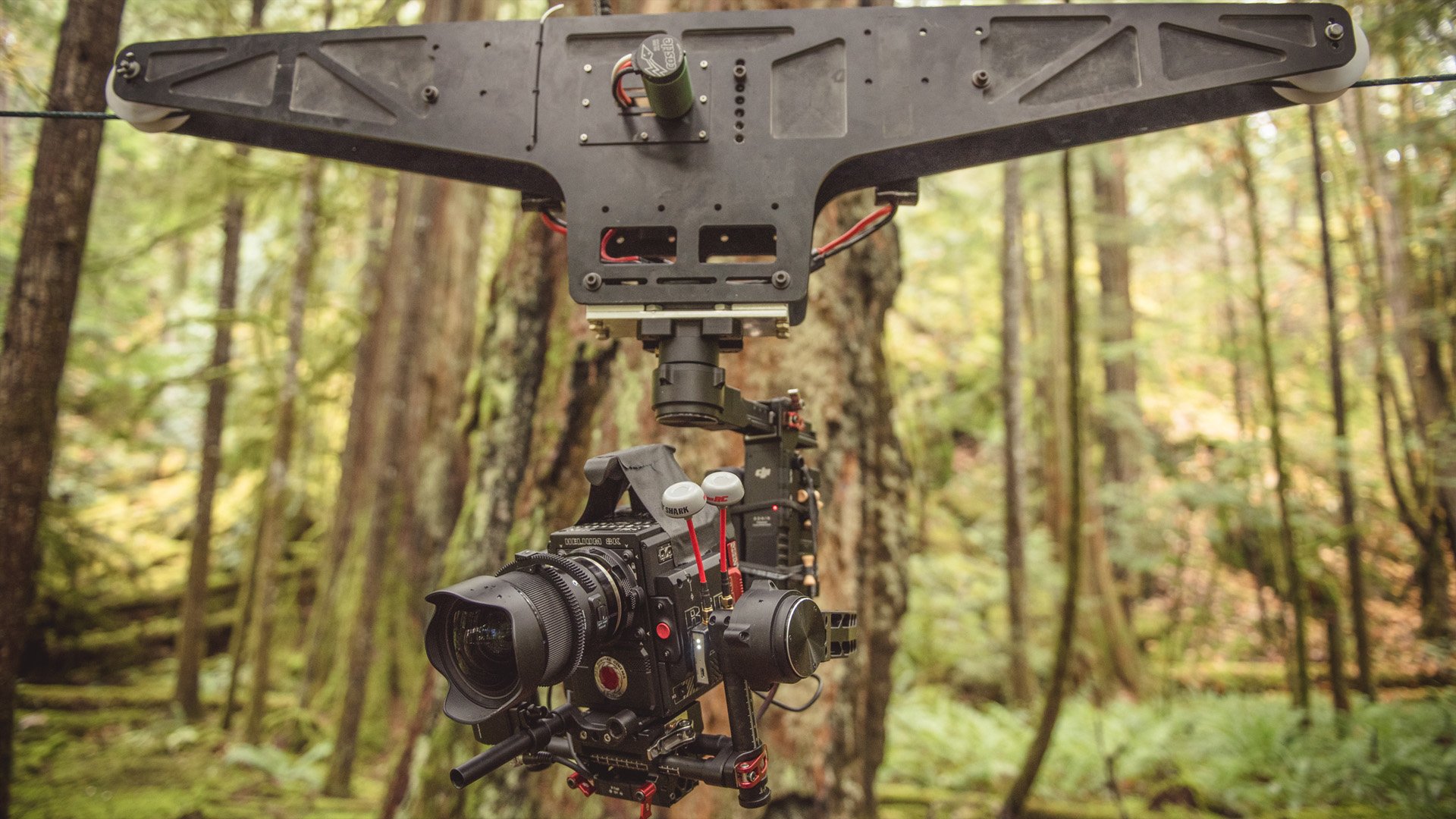 Film Studio & Video Production Company Specialized in Nature & Outdoors Videos | Aerial Cinematography in Vancouver — TOPO Films