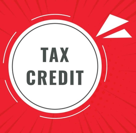 What Is a Tax Credit | Cash In Minutes