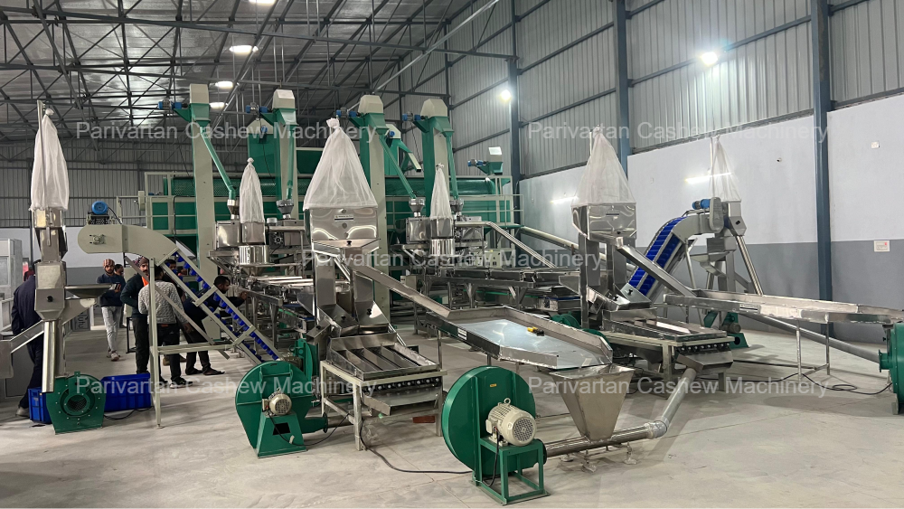 Full Automatic Cashew Processing Plant & Machine | Advanced Kaju Processing Solution