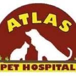 Atlas Pet Hospital Profile Picture